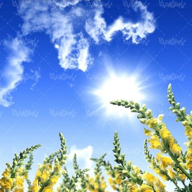 چشم انداز زیبا