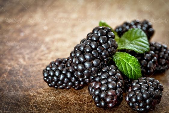 BlackBerry
