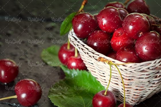 گیلاس