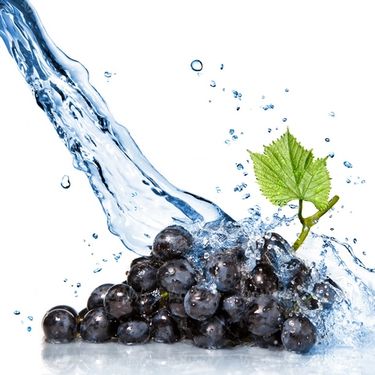 Red grape