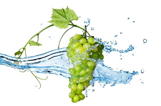 Red grape