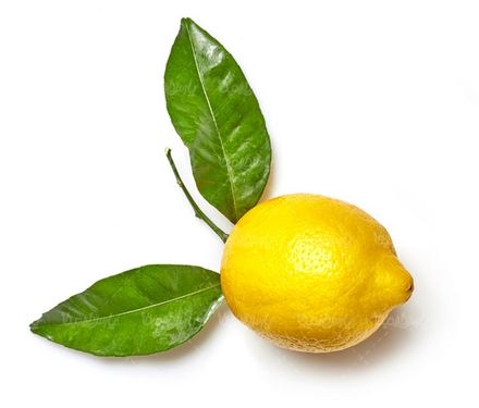 لیمو