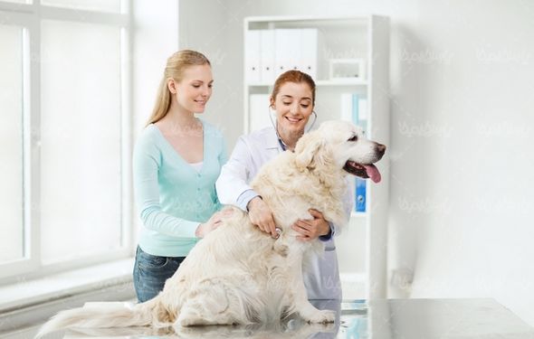 Veterinary