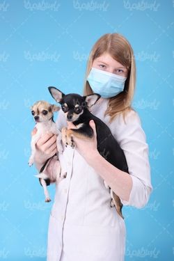 Veterinary