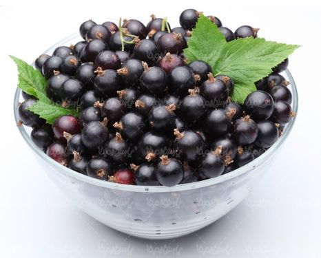بلوبری