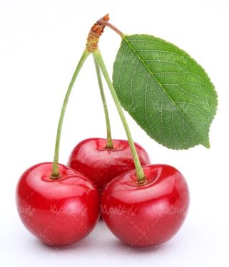 گیلاس