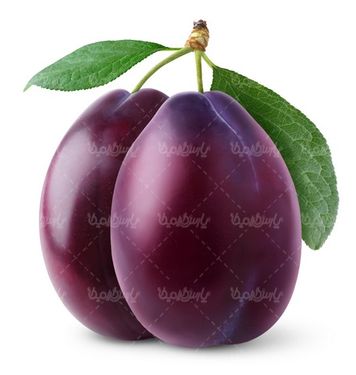 آلو سیاه