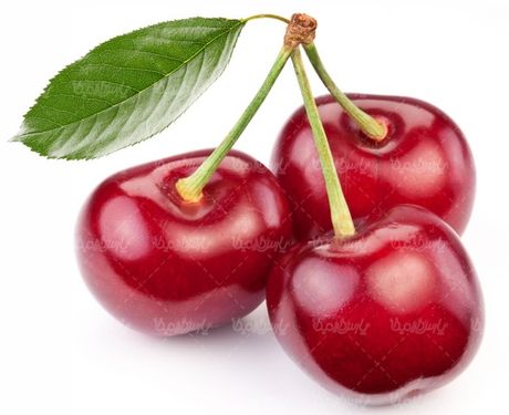 گیلاس