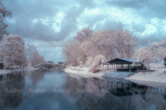 منظره