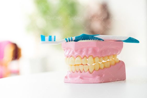 Toothbrush