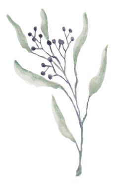 گل