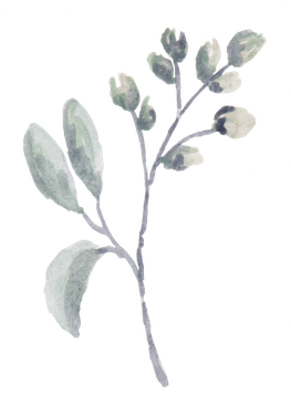 گل