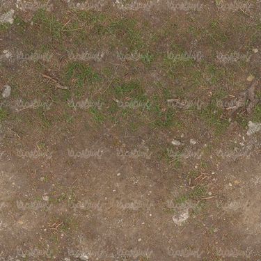 Texture