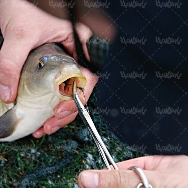 ماهیگیری