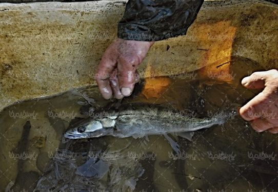 Fishing