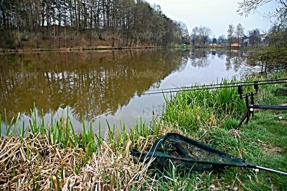 Fishing