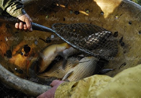 Fishing
