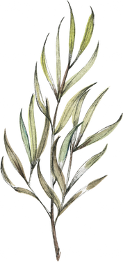 گل