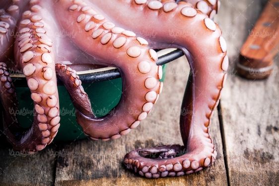 غذای دریایی