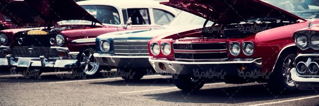 Auto Expo