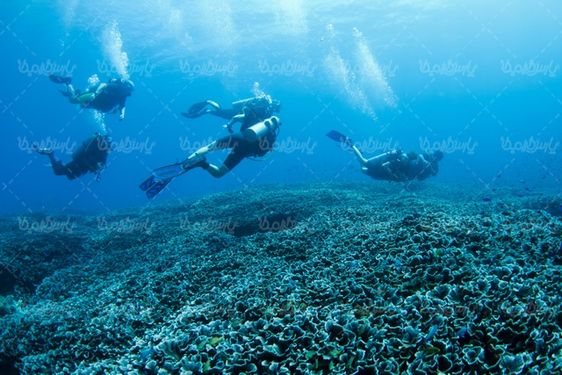 Diving