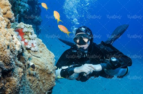 لباس غواصی