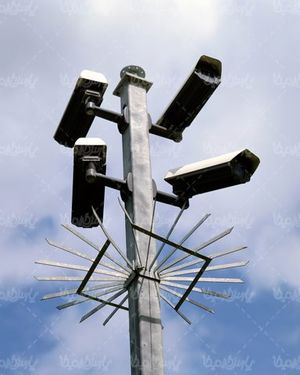 Speed control camera