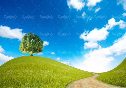 فصل بهار