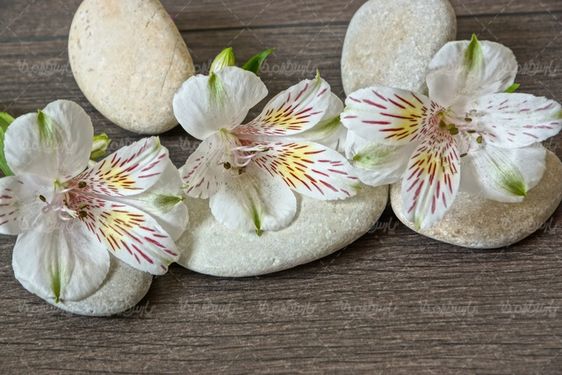Massage salon