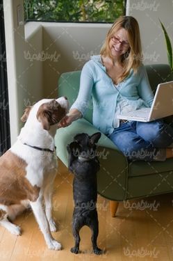 Pet