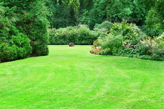 فضای سبز
