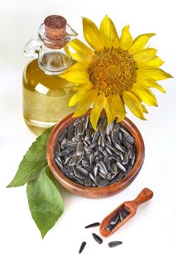 روغن آفتابگردان