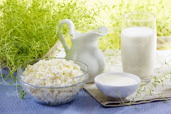 لبنیات