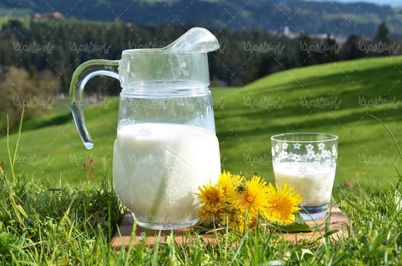 dairy