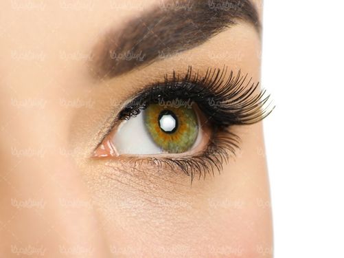 eye and eyebrow