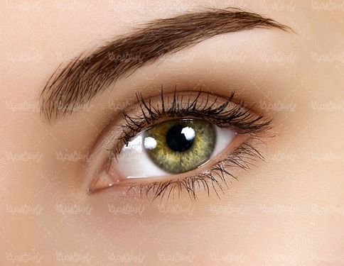 eye and eyebrow