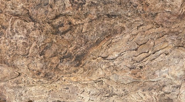 Texture