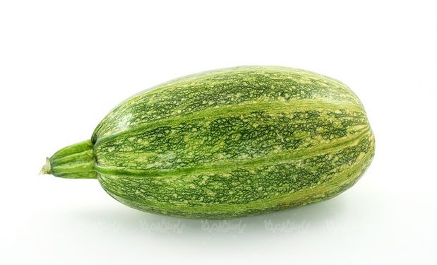 کدو