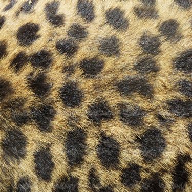 texture