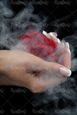 دود