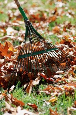 autumn