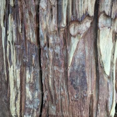Wooden background