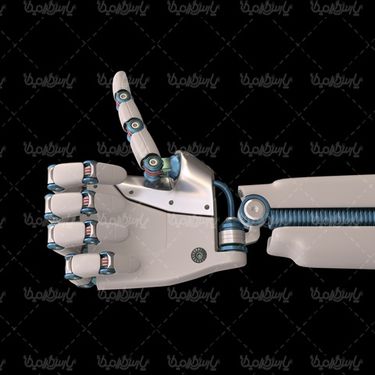 robotic