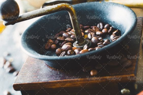 coffee bean