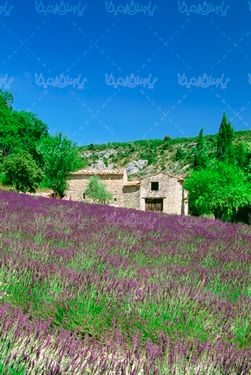 agricultural land
