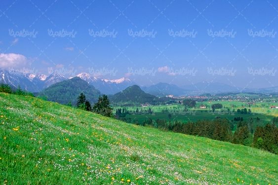 زمین کشاورزی