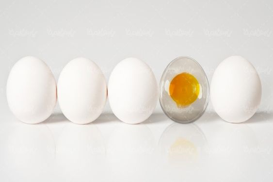 تخم مرغ