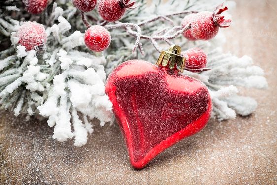 Christmas celebration