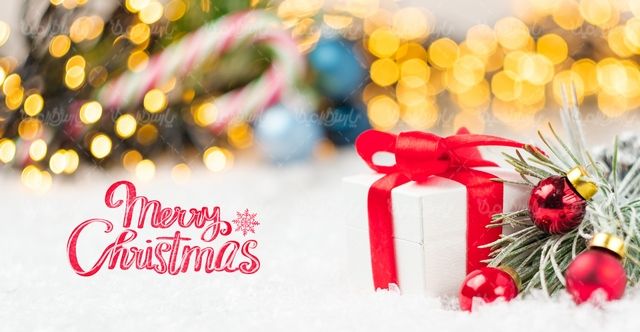 Christmas celebration