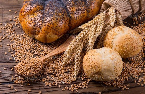 Bread